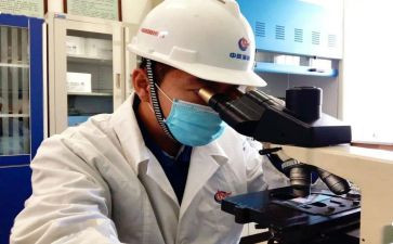 化验工作总结6篇