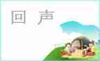 回声的教学反思8篇