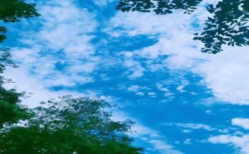 难忘的小学回忆演讲稿5篇