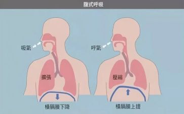 去呼吸科实习心得体会6篇