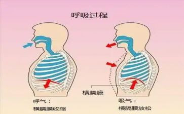 呼吸科医生述职报告8篇