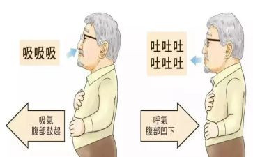 观呼吸心得体会7篇