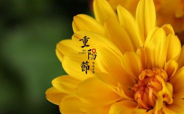 庆中秋迎佳节作文优质6篇