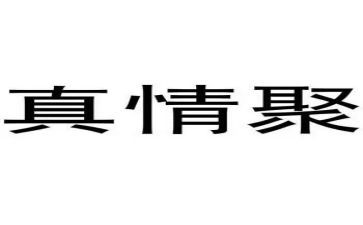 真情自难忘的作文8篇