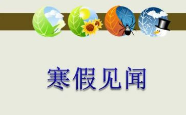 假期见闻作文8篇