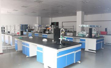 检验室的工作总结优秀5篇