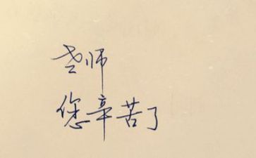 教师的心得体会800字模板7篇