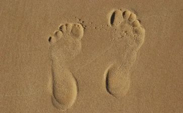 中班踩脚印教案6篇