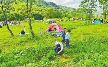 郊游幼儿教案6篇