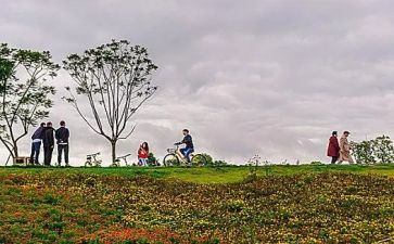 郊游幼儿教案优秀6篇