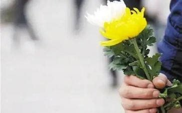 祭奠先烈活动方案7篇