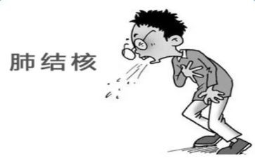 结核工作计划8篇