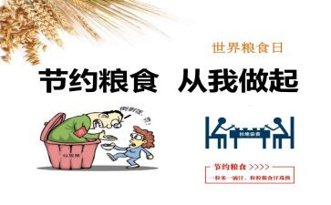 节水节粮作文5篇