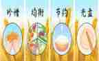 节水节电节粮演讲稿6篇