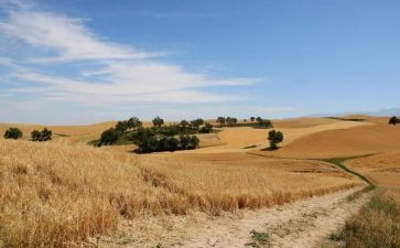 我的季节作文优秀8篇