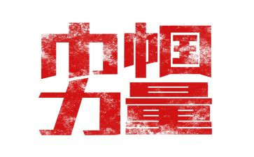 巾帼标兵岗先进事迹材料5篇