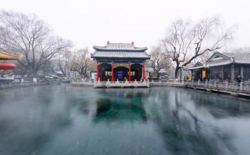 济南动物园作文400字7篇