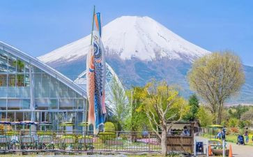 写夏天景作文500到600字模板6篇