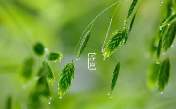 节气幼儿教案6篇