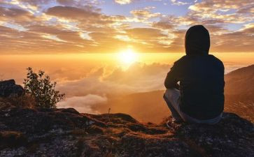 写读书经历的作文模板5篇