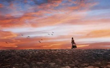 讲经历的作文精选5篇