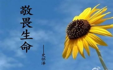 敬与畏为主题作文优秀8篇