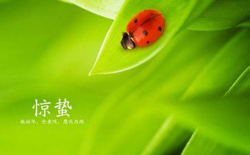 惊蛰幼儿园教案8篇