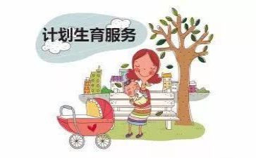 计生办半年工作总结6篇