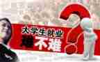就业调查报告3000字7篇