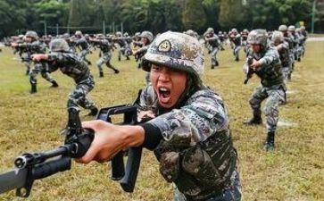 暑期集训心得体会2023优秀6篇