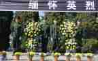 清明祭英烈演讲稿7篇