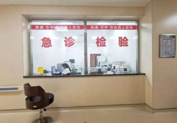 2024急诊护士个人总结最新8篇