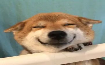 我真开心的作文优质6篇