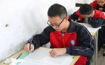 中考后的我作文5篇