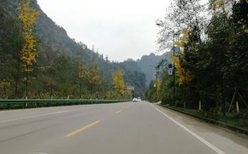 靠自己读后感6篇