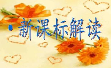 小学教师学课标心得体会6篇