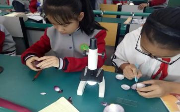 科学课活动方案8篇