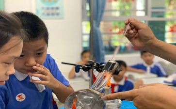 小班科学课教案推荐7篇