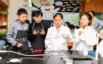 幼儿园小班科学课教案模板6篇