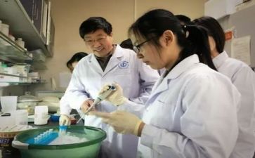 总结科研工作计划6篇