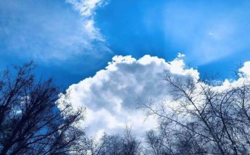 空气的调查报告6篇