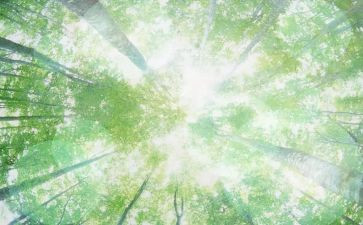 空气作文5篇