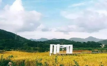 工作的苦与乐作文参考8篇