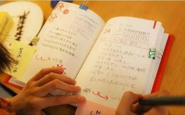 苦与乐演讲稿800字参考5篇