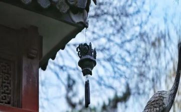 您辛苦啦教案5篇