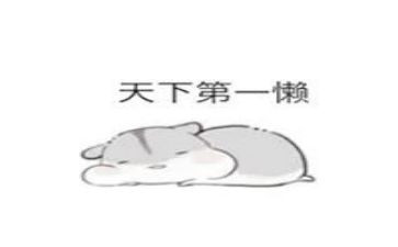 懒等拖个人总结最新7篇