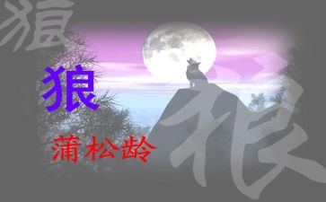 《狼》读后感作文模板5篇