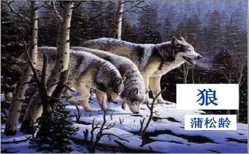 《狼》读后感作文优秀7篇