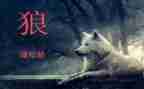 《狼》的读后感500字参考7篇