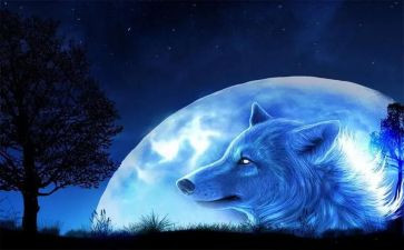 狼王梦3读后感参考5篇